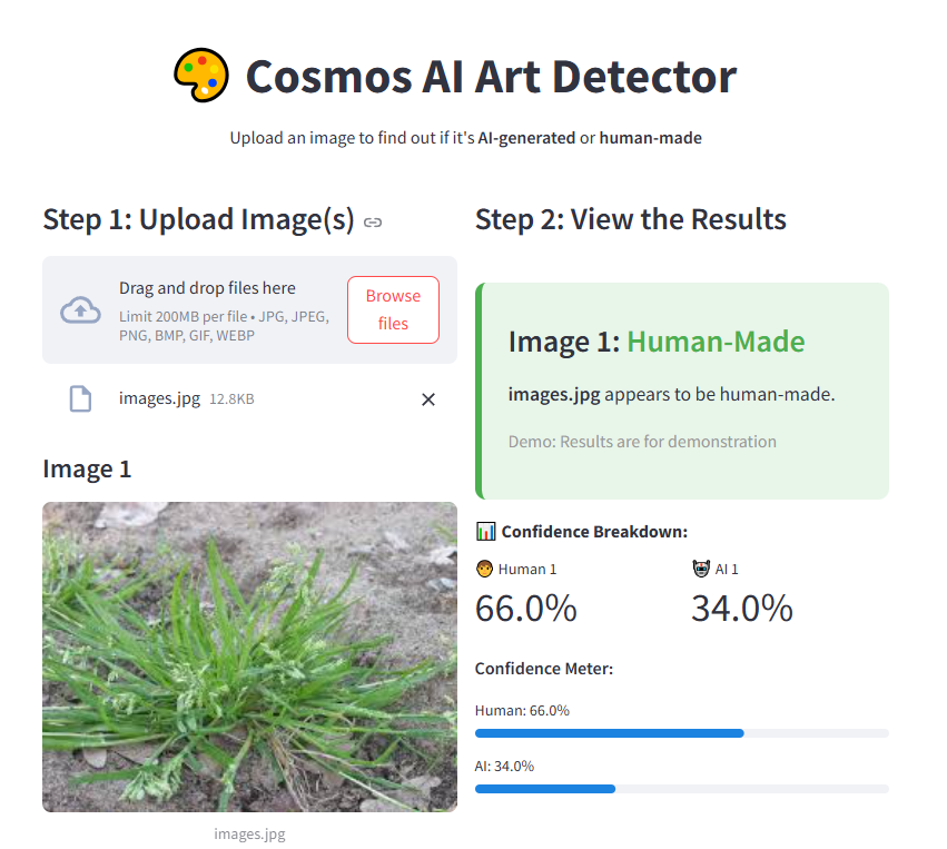 AI Art Detection